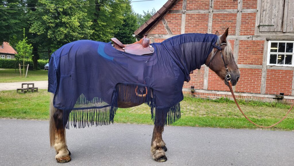 Fliegenausreitdecke mit Fransen Kaltblut Ausreitdecke mit Halsteil 2026 – Bild 15