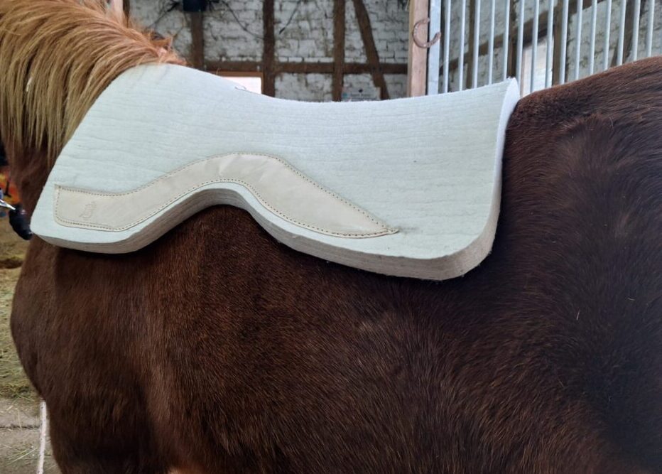 PR Westernpad Filzpad Kaltblut Spezial 3cm dick Wollweiß – Bild 11