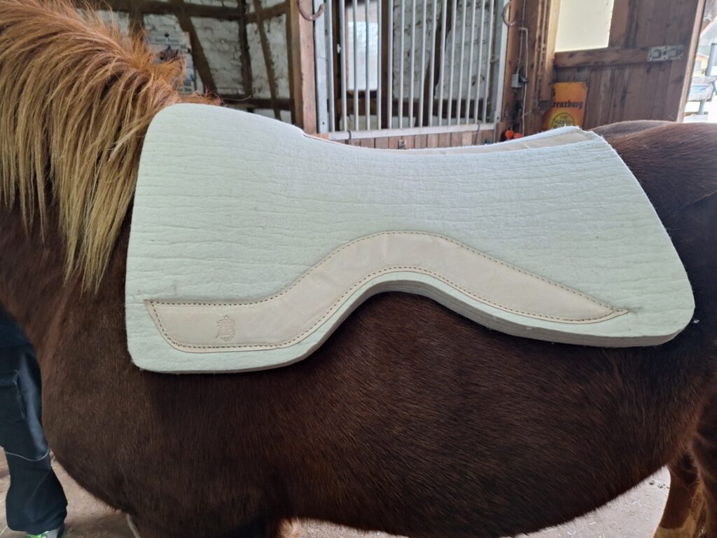 PR Westernpad Filzpad Kaltblut Spezial 3cm dick Wollweiß