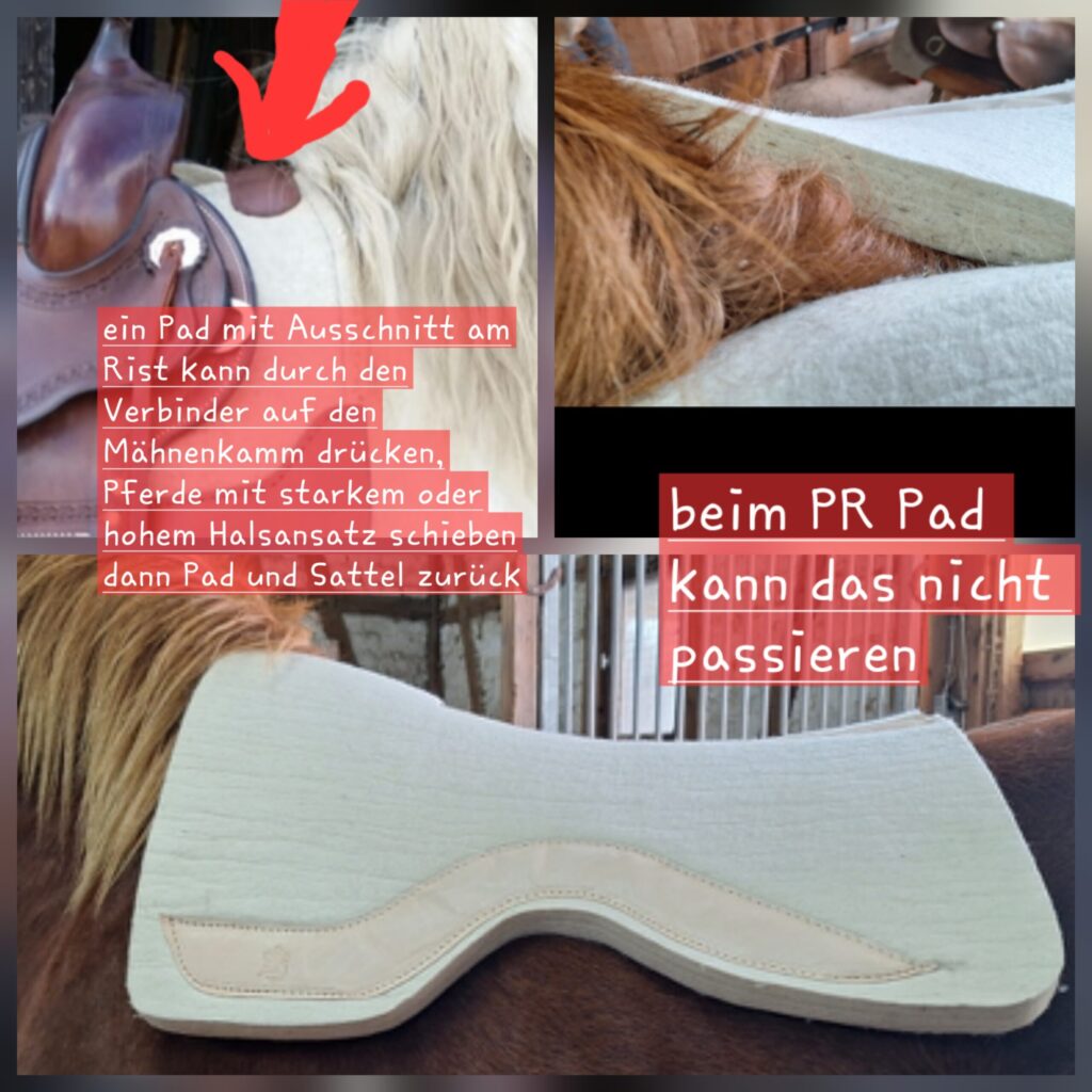 PR Westernpad Filzpad Kaltblut Spezial 3cm dick Wollweiß – Bild 7