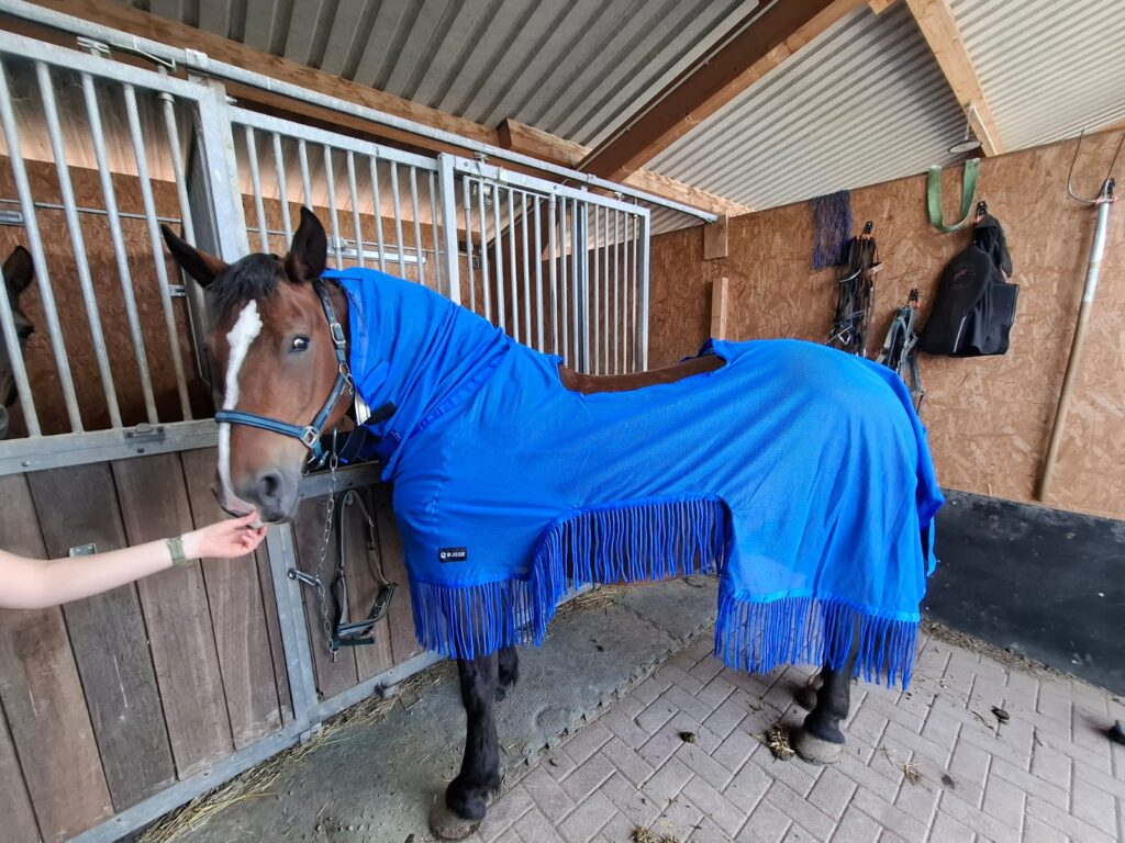 Fliegenausreitdecke mit Fransen Kaltblut Ausreitdecke mit Halsteil 2026 – Bild 16